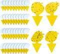 Fruit Fly & Fungus Gnat Traps, Yellow Sticky Traps, 40 Pack