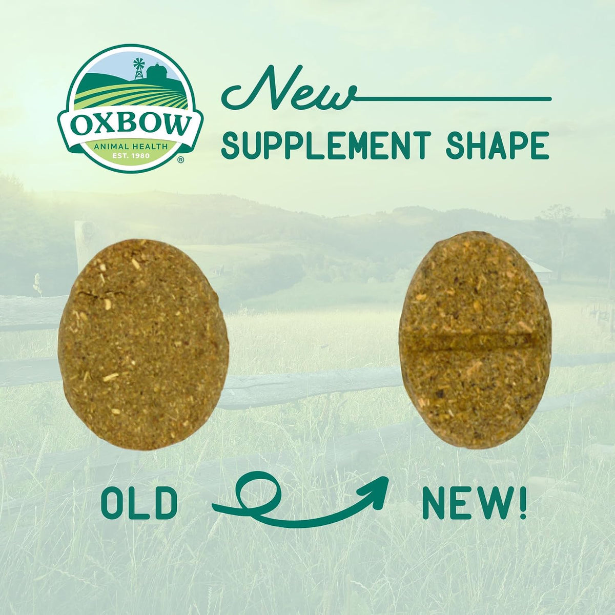 Oxbow Digestive Support Rabbit & Guinea Pig Supplement, Timothy Hay, 4.2 oz
