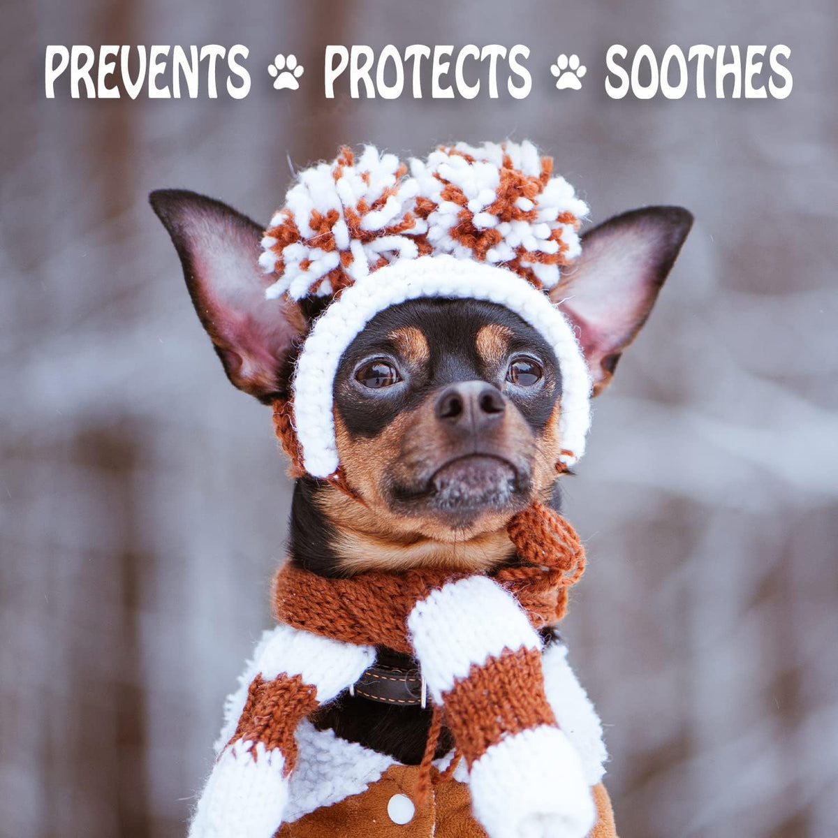 Musher's Secret All-Natural Dog Paw Balm, All-Season Paw Protector, 60g