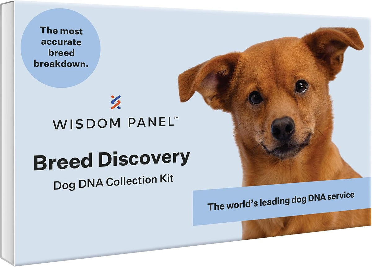 Wisdom Panel Breed Discovery Dog DNA Testing Kit - Most Accurate Dog Breed Identification - Test for 430+ Breeds, MDR1 Health Test, Ancestry, Relatives