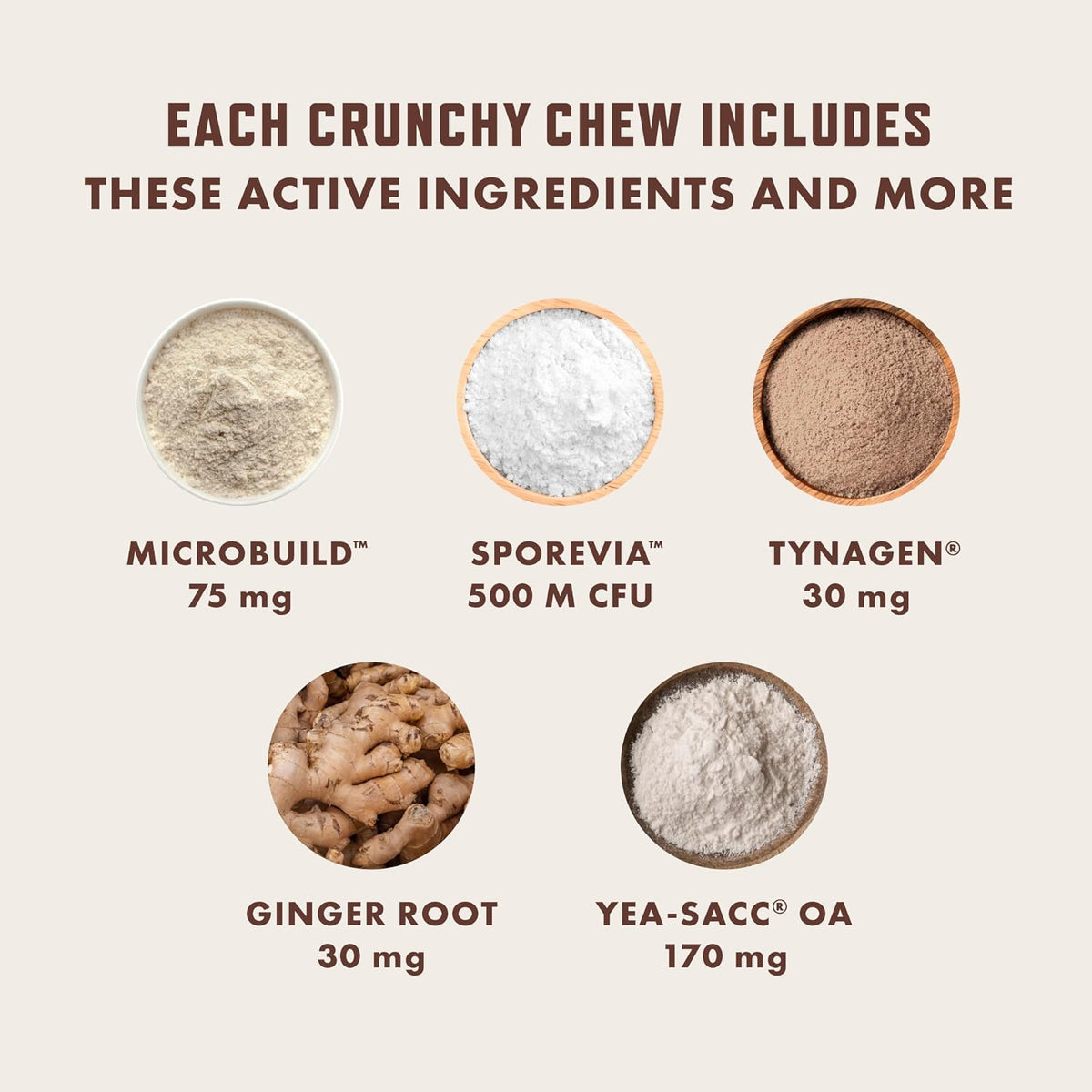 Rocco & Roxie Cat Probiotics, Digestive & Gut Health Chews