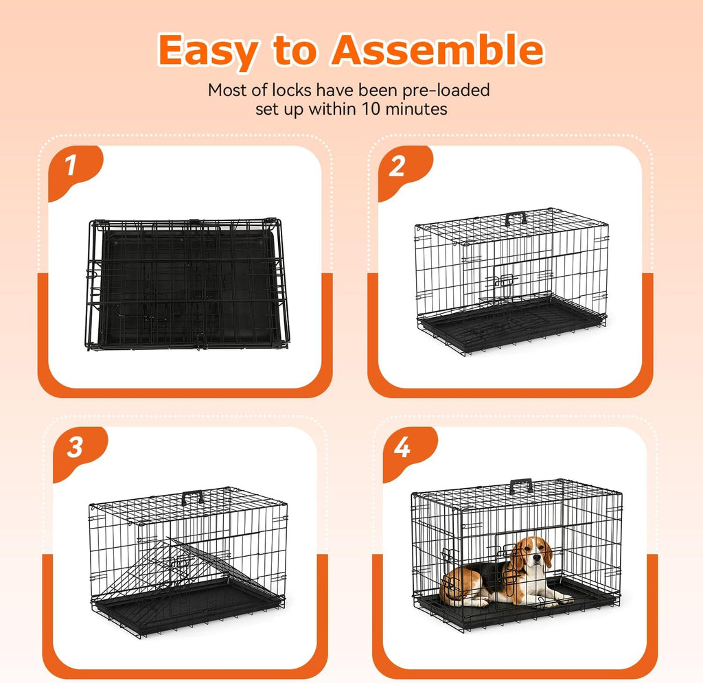 FDW | 30" Foldable Metal Dog Crate | Black | Cage for Medium Dogs