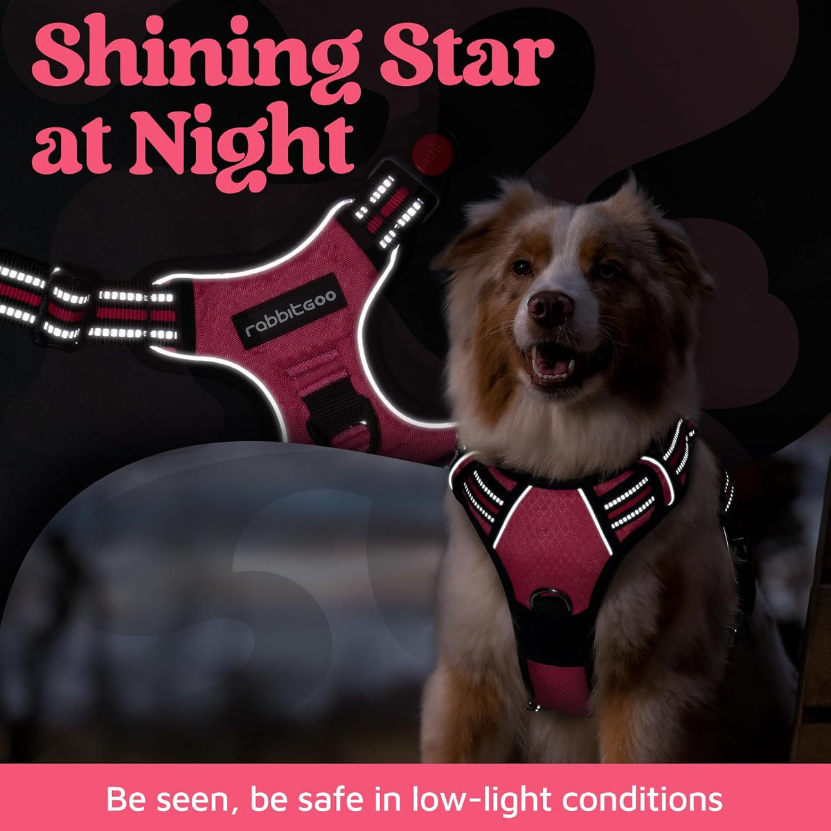 rabbitgoo Dog Harness for Large, No Pull 3 Buckles Easy On & Off