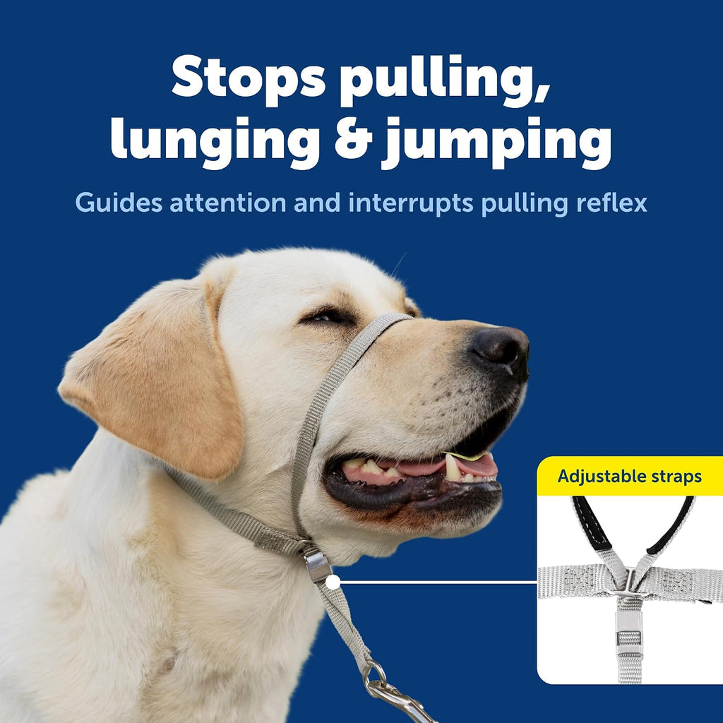 PetSafe Gentle Leader No Pull Dog Headcollar, Royal Blue, Medium | Veterinary Behaviorist-Designed No-Pull Headcollar Redirects Pulling Instinct, Padded Neoprene Nose Loop, Quick-Snap Fit