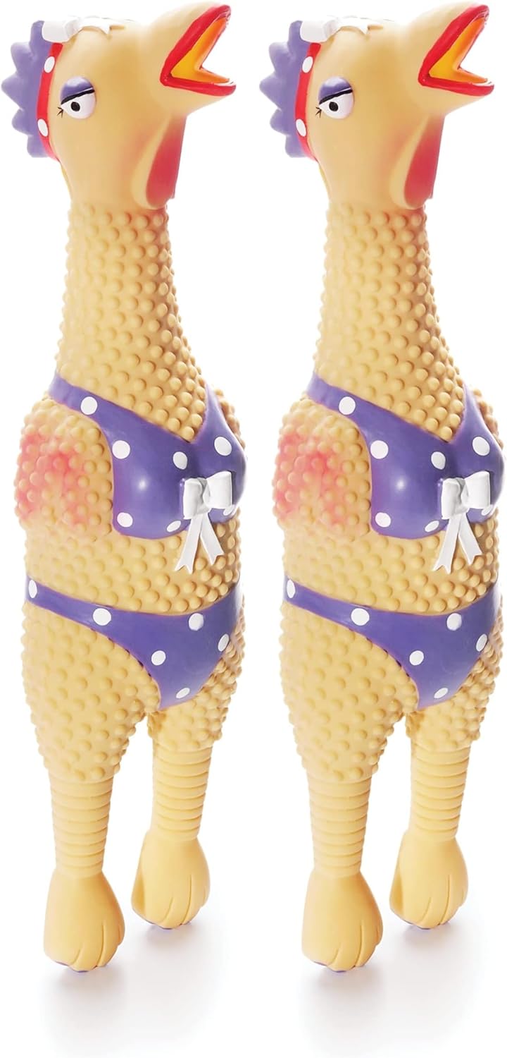 Outward Hound Squawkers Squeaky Latex Dog Toy, Earl, 11.4" | Classic Rubber Chicken in a Swimsuit, Silly Squawking Sound, Interactive Fetch, Indoor Outdoor, Light Chewers, Dogs & Puppies
