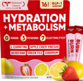 Venture Pal Electrolyte Packets + Burn Support, Sugar Free, 16 Sticks