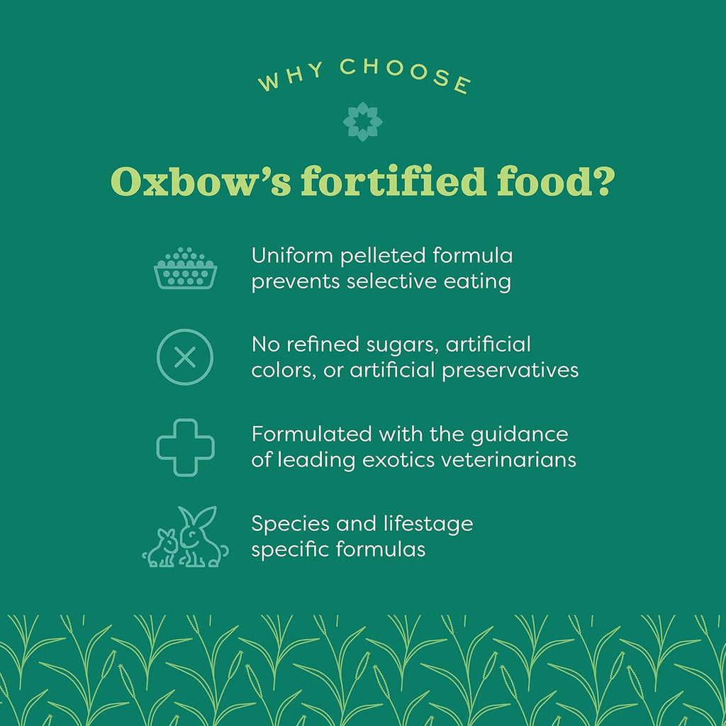 Oxbow Essentials Ferret Food, Rich in Animal-Based Protein & Fat, 4 lb