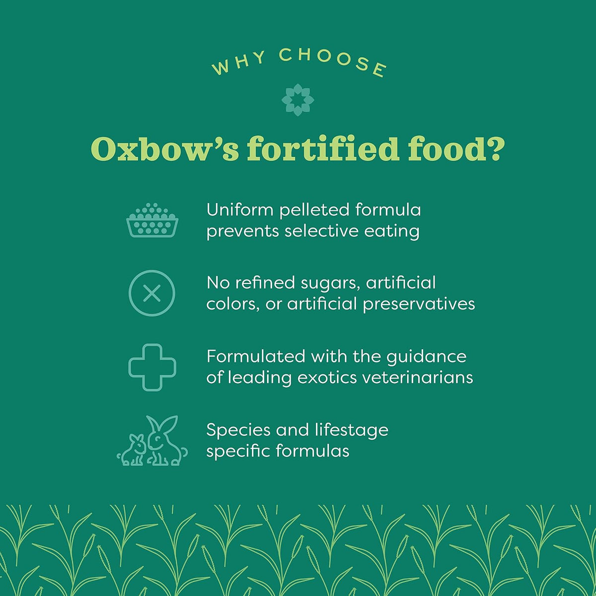 Oxbow Essentials Ferret Food, Rich in Animal-Based Protein & Fat, 4 lb