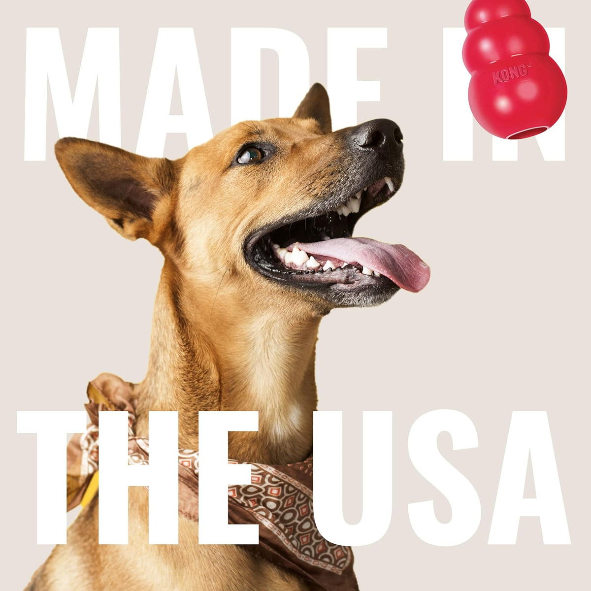 KONG Classic Stuffable Dog Toy, Natural Rubber Chew, for Large Dogs | Treat-Filling Fetch & Chew Toy with Erratic Bounce, Made from KONG Durable Natural Rubber for Extended Playtime