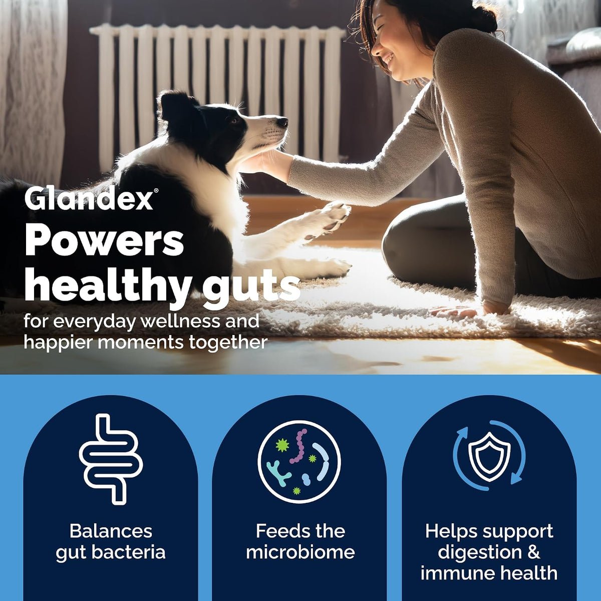 Vetnique Glandex Probiotics for Dogs 60ct Soft Chews, Prebiotics & Enzymes