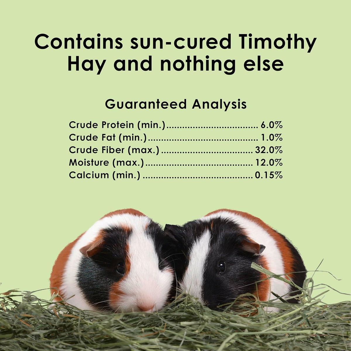 Kaytee Wafer Cut Timothy Hay for Rabbit & Guinea Pigs, 60 Ounce