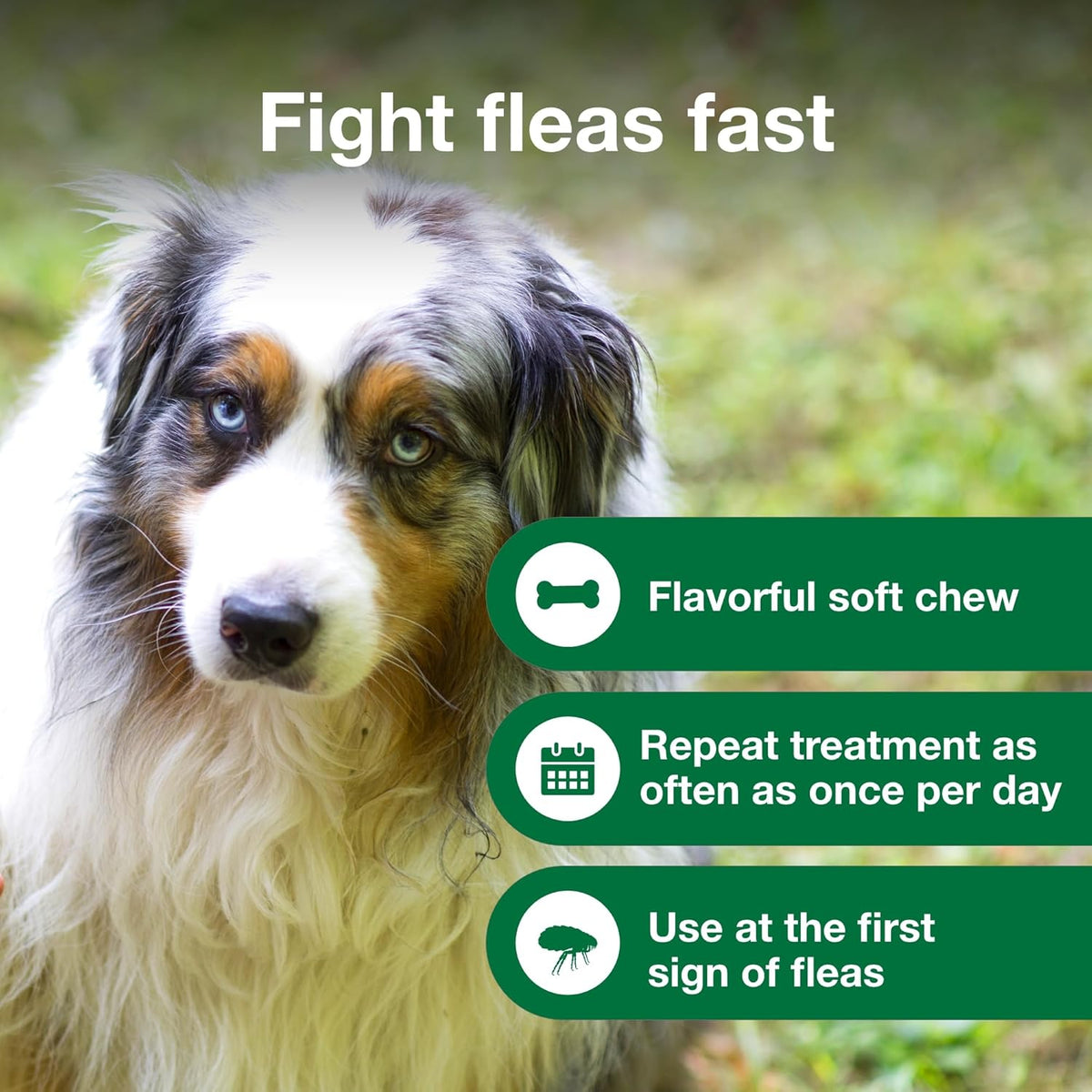 Advantus Dogs Fast Acting Oral Flea Treatment Soft Chewable 23 - 110 lbs. | 7 ct.