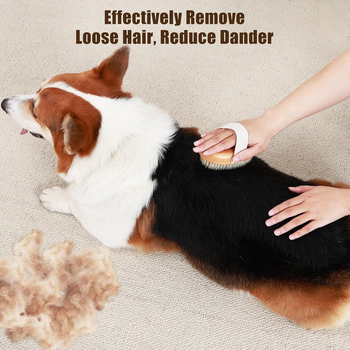 Soft Boar Bristle Pet Palm Brush for Short Haired Dogs and Cats with Band, Reduce Shedding, Ergonomic Dog Brush, Easy to Hold and Reduces Stress On Your Wrist | Ideal for Daily Grooming