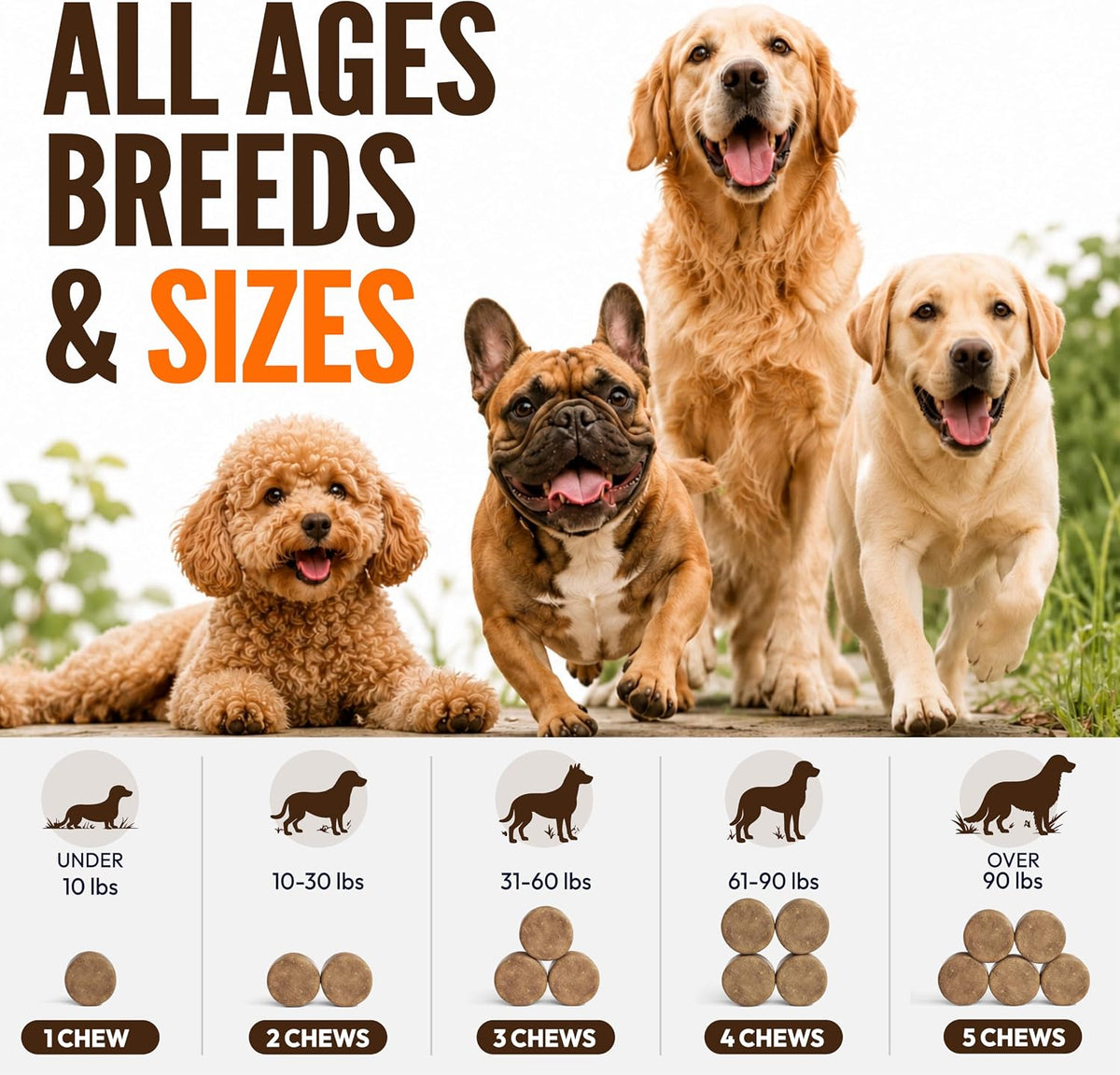Turkey Tail Mushroom for Dogs - 170 Chews - Lion's Mane, Shiitake & Reishi