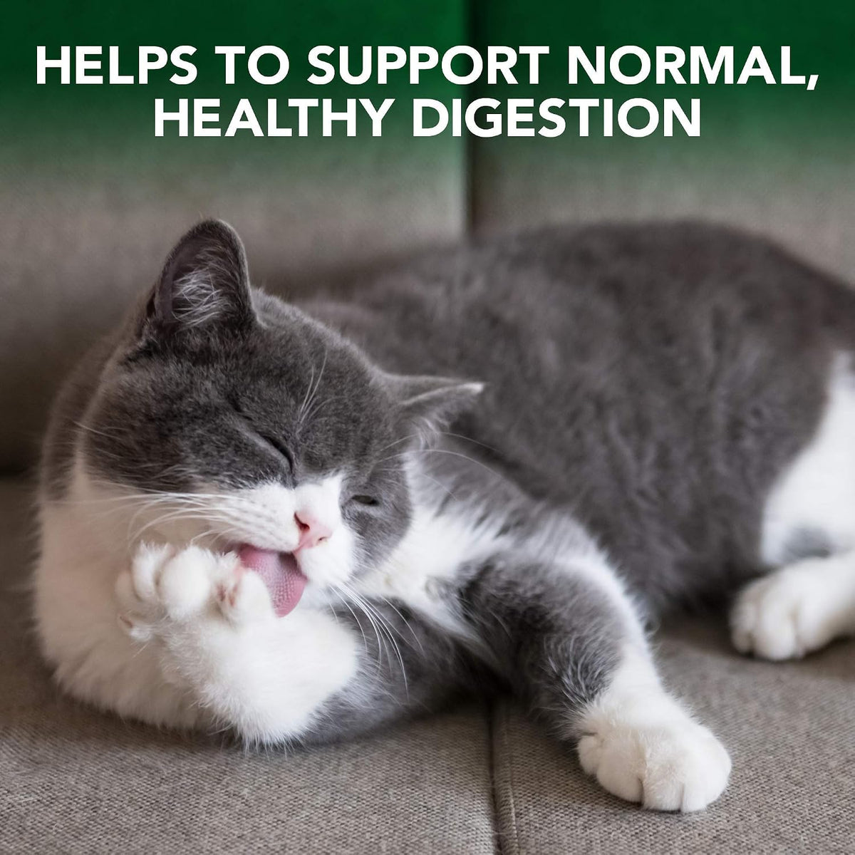 Vet's Best Cat Hairball Relief Chewable Tablets, Digestive Aid, 180 Count
