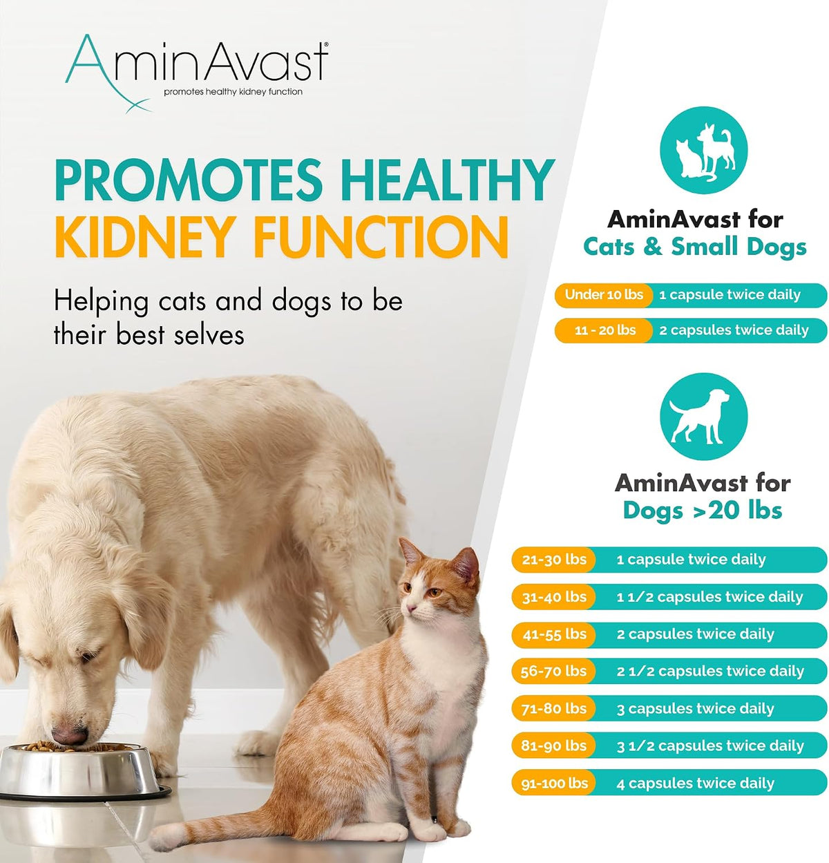 AminAvast 300mg Kidney Support for Cats & Small Dogs, 60 Sprinkle Capsules