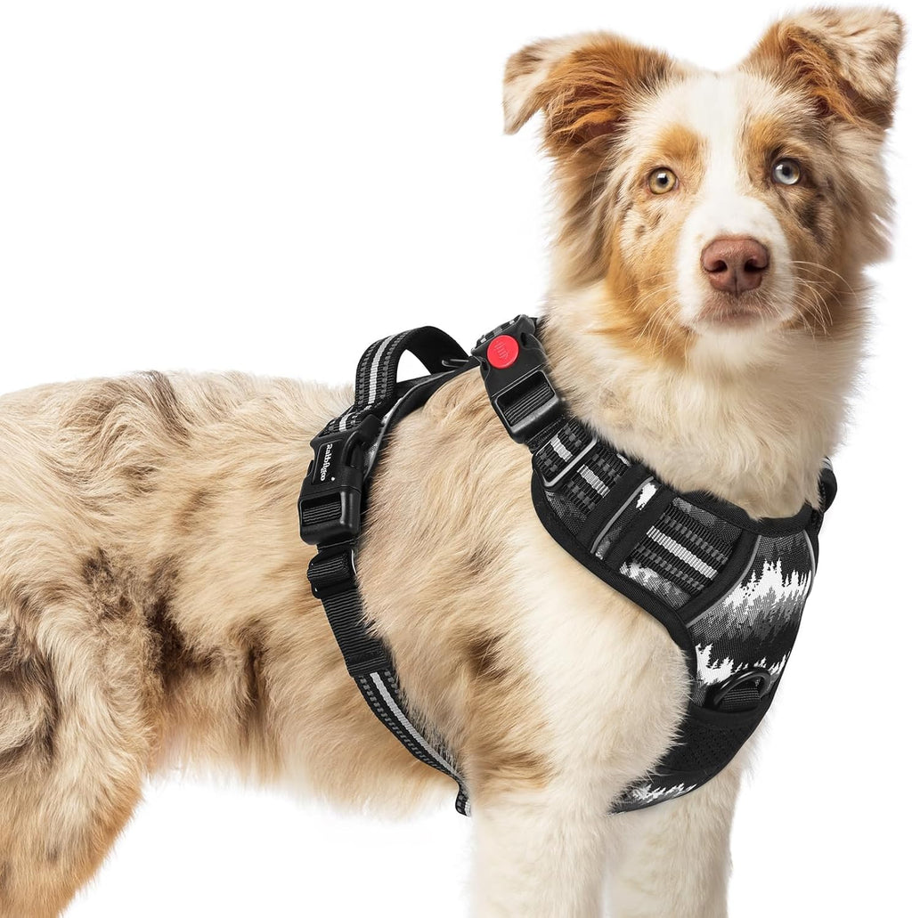 rabbitgoo Dog Harness for Large, Updated Easy On & Off with 3 Buckles