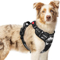 rabbitgoo Dog Harness for Large, Updated Easy On & Off with 3 Buckles