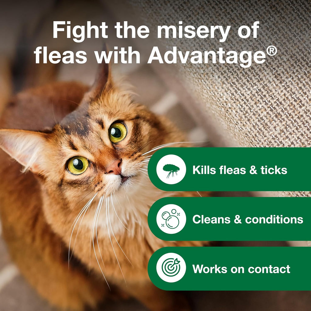 Advantage Cat Flea & Tick Shampoo for Kittens & Adult Cats | Kills Fleas & Ticks | 8 oz.