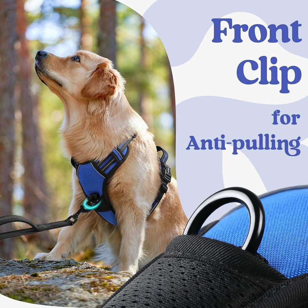 rabbitgoo Dog Harness for Large, Updated Easy On & Off with 3 Buckles