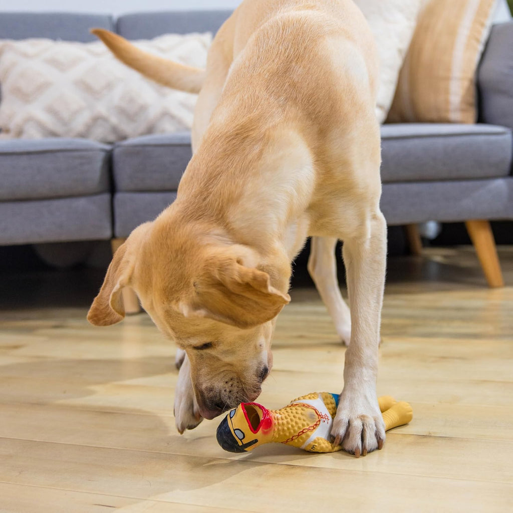 Outward Hound Squawkers Squeaky Latex Dog Toy, Earl, 11.4" | Classic Rubber Chicken in a Swimsuit, Silly Squawking Sound, Interactive Fetch, Indoor Outdoor, Light Chewers, Dogs & Puppies