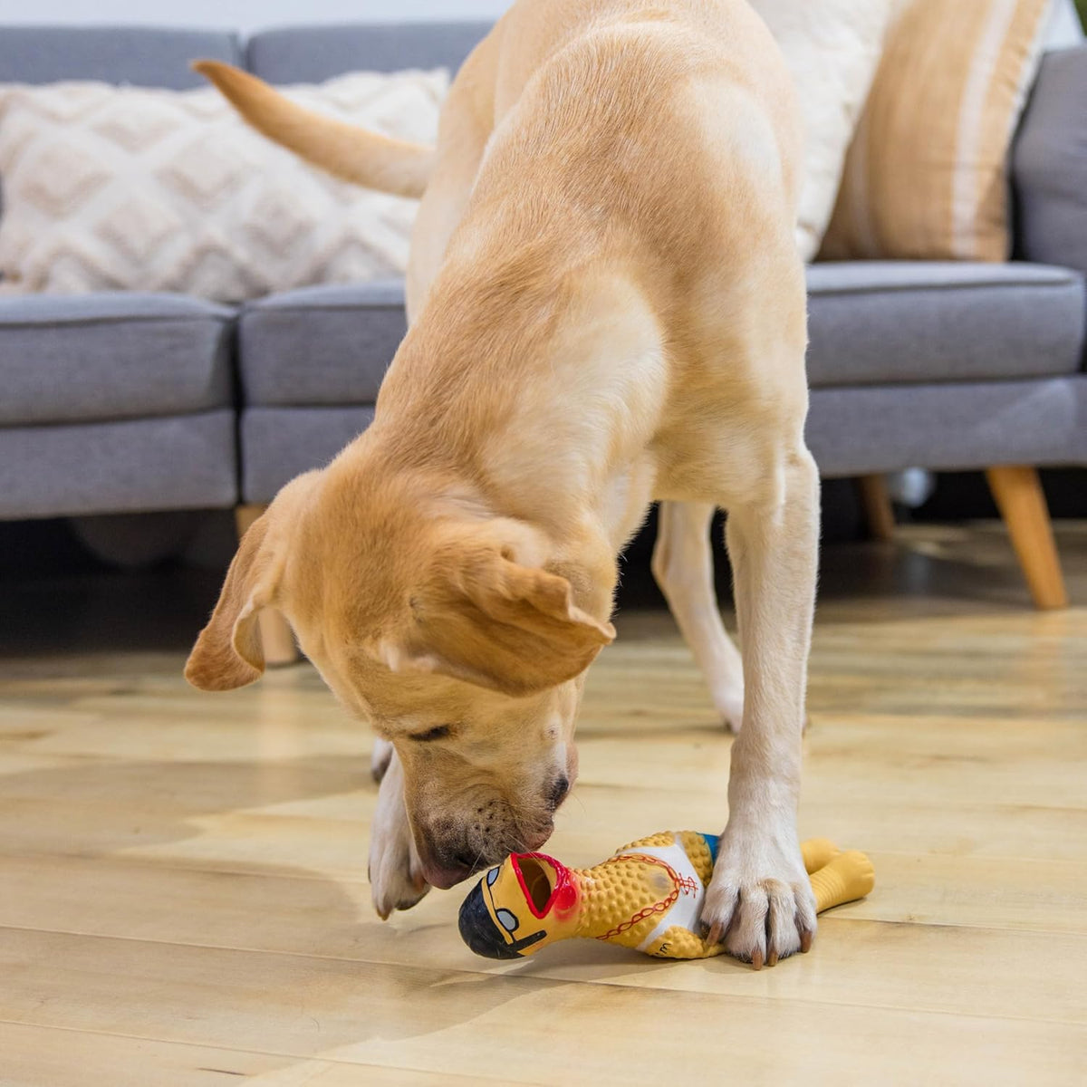 Outward Hound Squawkers Squeaky Latex Dog Toy, Earl, 11.4" | Classic Rubber Chicken in a Swimsuit, Silly Squawking Sound, Interactive Fetch, Indoor Outdoor, Light Chewers, Dogs & Puppies