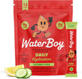 WaterBoy Daily Hydration, Strawberry Lemonade, Sugar Free Electrolytes 15ct