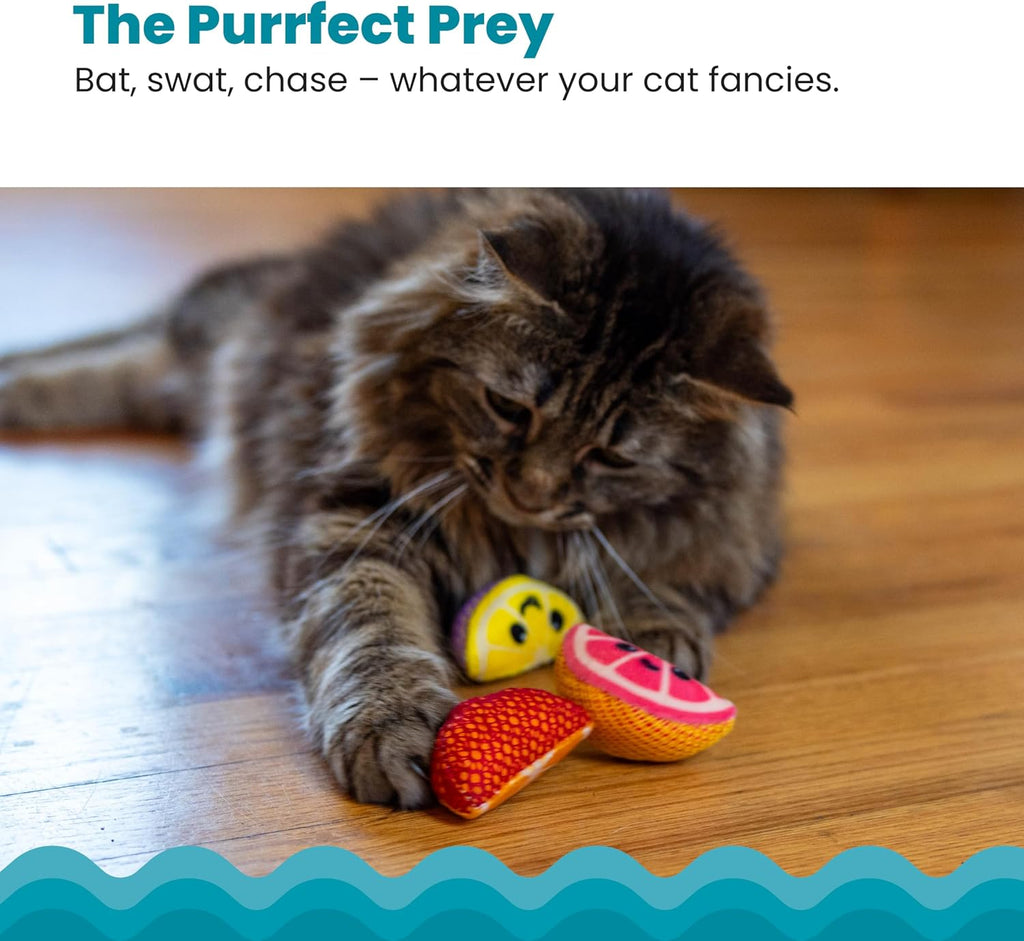 Catstages Dental Fruit Wedges Chew Cat Toys with Catnip, 5.3", 4-Pack