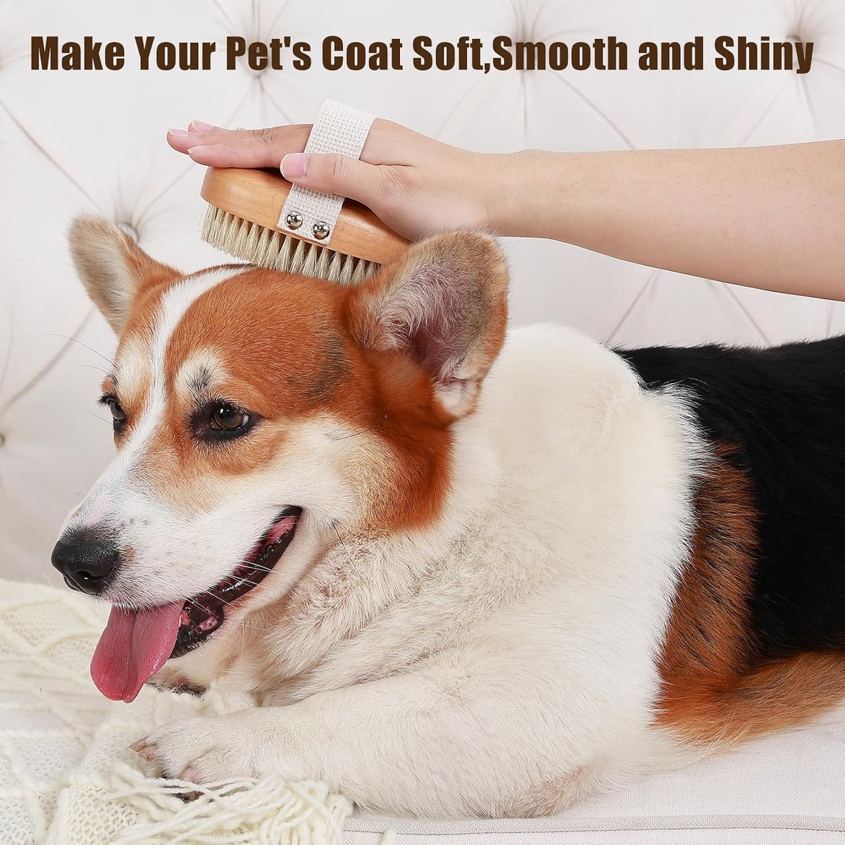 Soft Boar Bristle Pet Palm Brush for Short Haired Dogs and Cats with Band, Reduce Shedding, Ergonomic Dog Brush, Easy to Hold and Reduces Stress On Your Wrist | Ideal for Daily Grooming