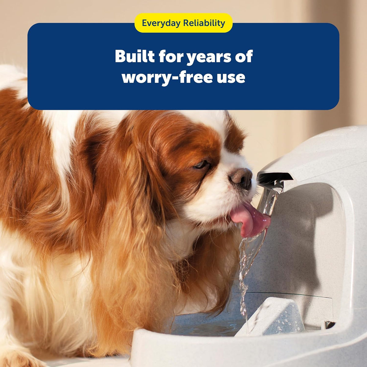 PetSafe Drinkwell Premium Carbon Filters, Dog & Cat Fountains, 12-Pack