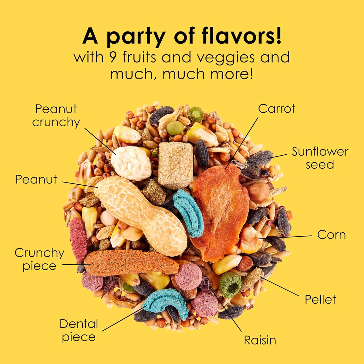 Kaytee Fiesta Mouse & Rat Food, Nutritious Blend, 4.5 Pounds