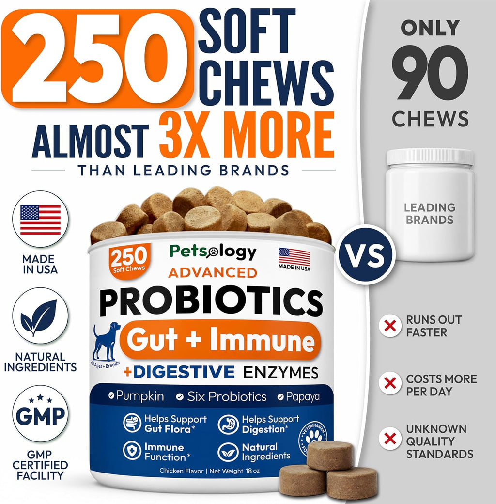 Probiotics for Dogs - 250 Dog Probiotics Chews - Digestive Enzymes Support | Gut Health Support, Diarrhea, Gas & Constipation Relief Supplement, Itchy Skin, Allergies & Yeast Balance, Made in USA