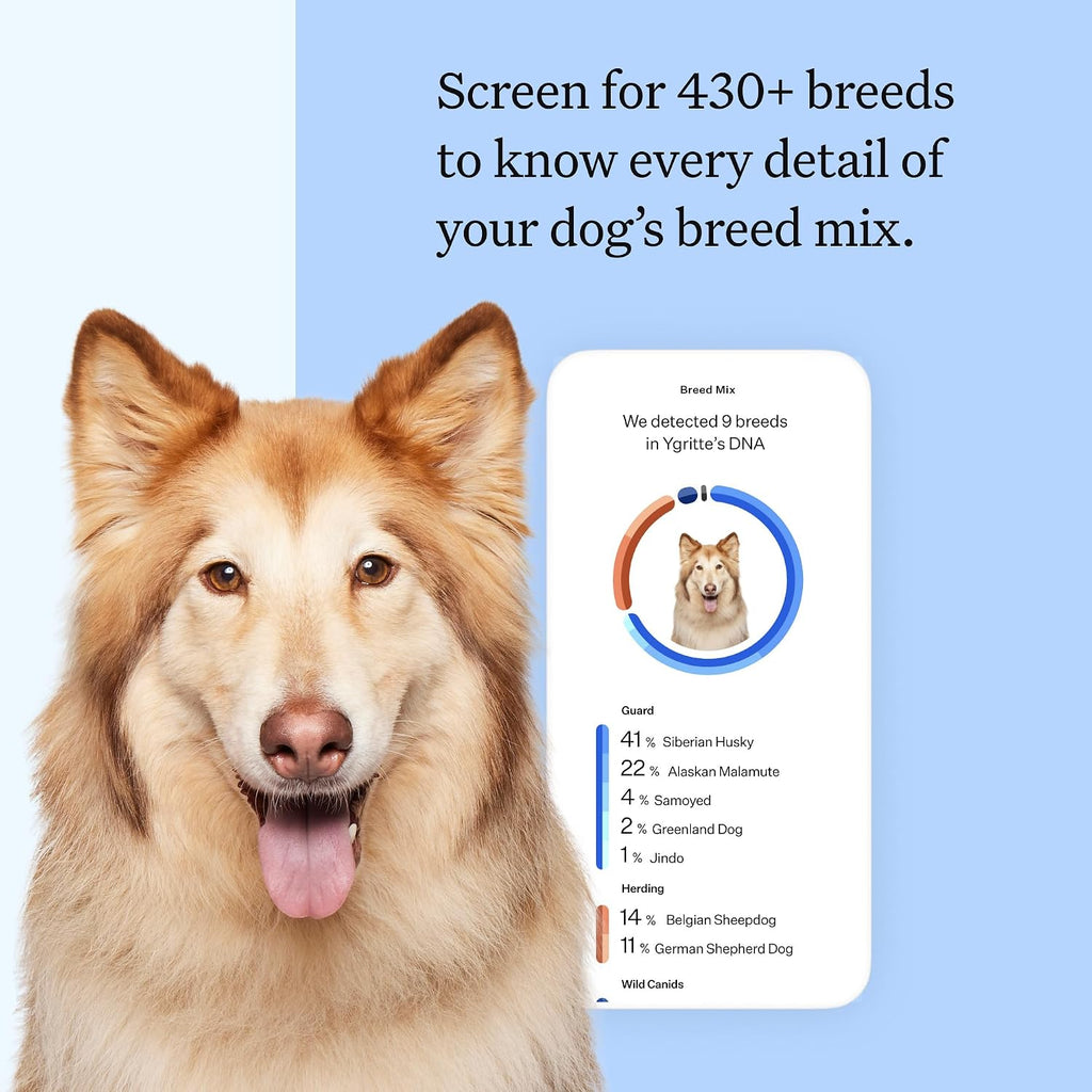 Wisdom Panel Breed Discovery Dog DNA Testing Kit - Most Accurate Dog Breed Identification - Test for 430+ Breeds, MDR1 Health Test, Ancestry, Relatives