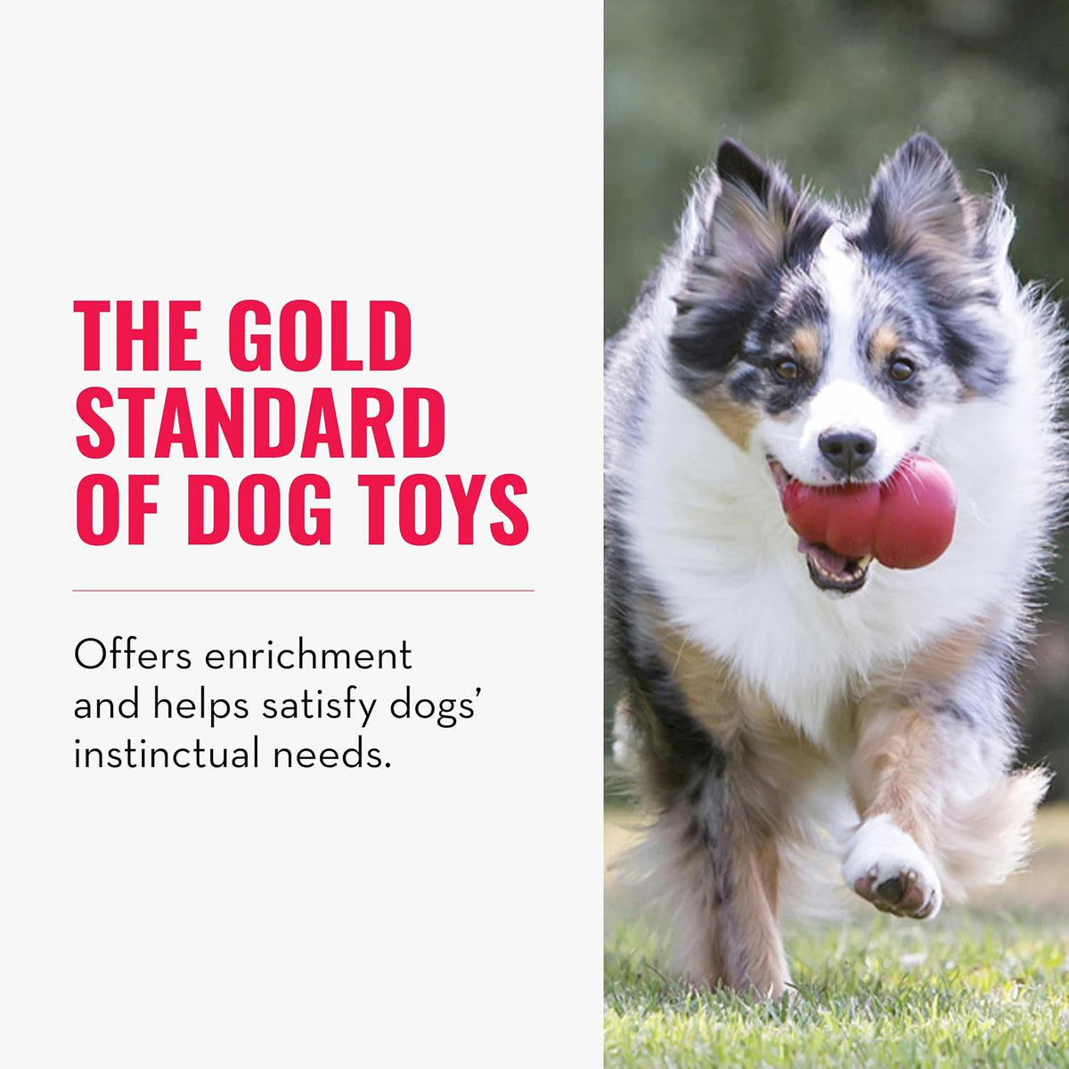 KONG Classic Stuffable Dog Toy, Natural Rubber Chew, for Large Dogs | Treat-Filling Fetch & Chew Toy with Erratic Bounce, Made from KONG Durable Natural Rubber for Extended Playtime