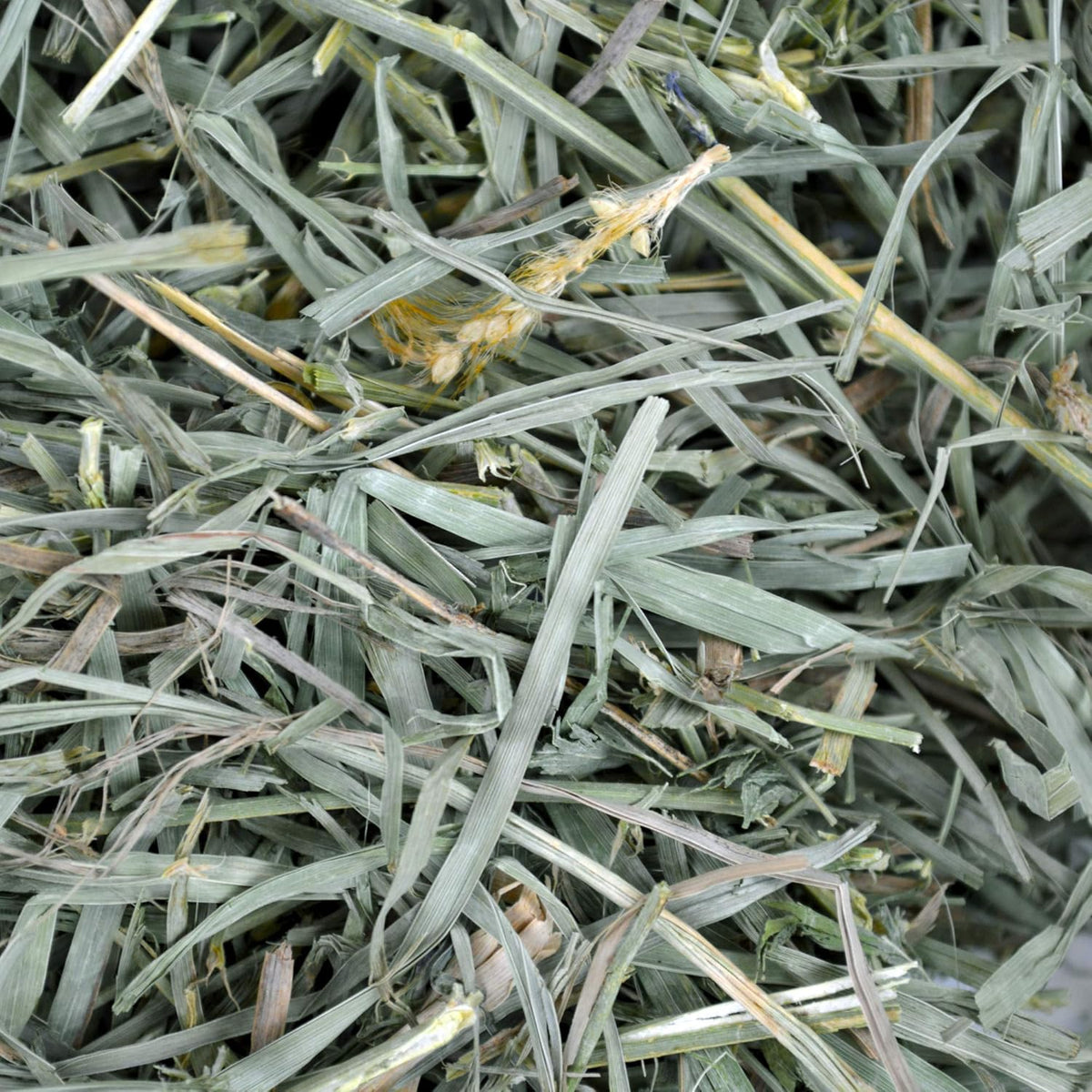 Oxbow Organic Meadow Hay, Rabbit & Guinea Pig Hay, High Fiber, 40 oz