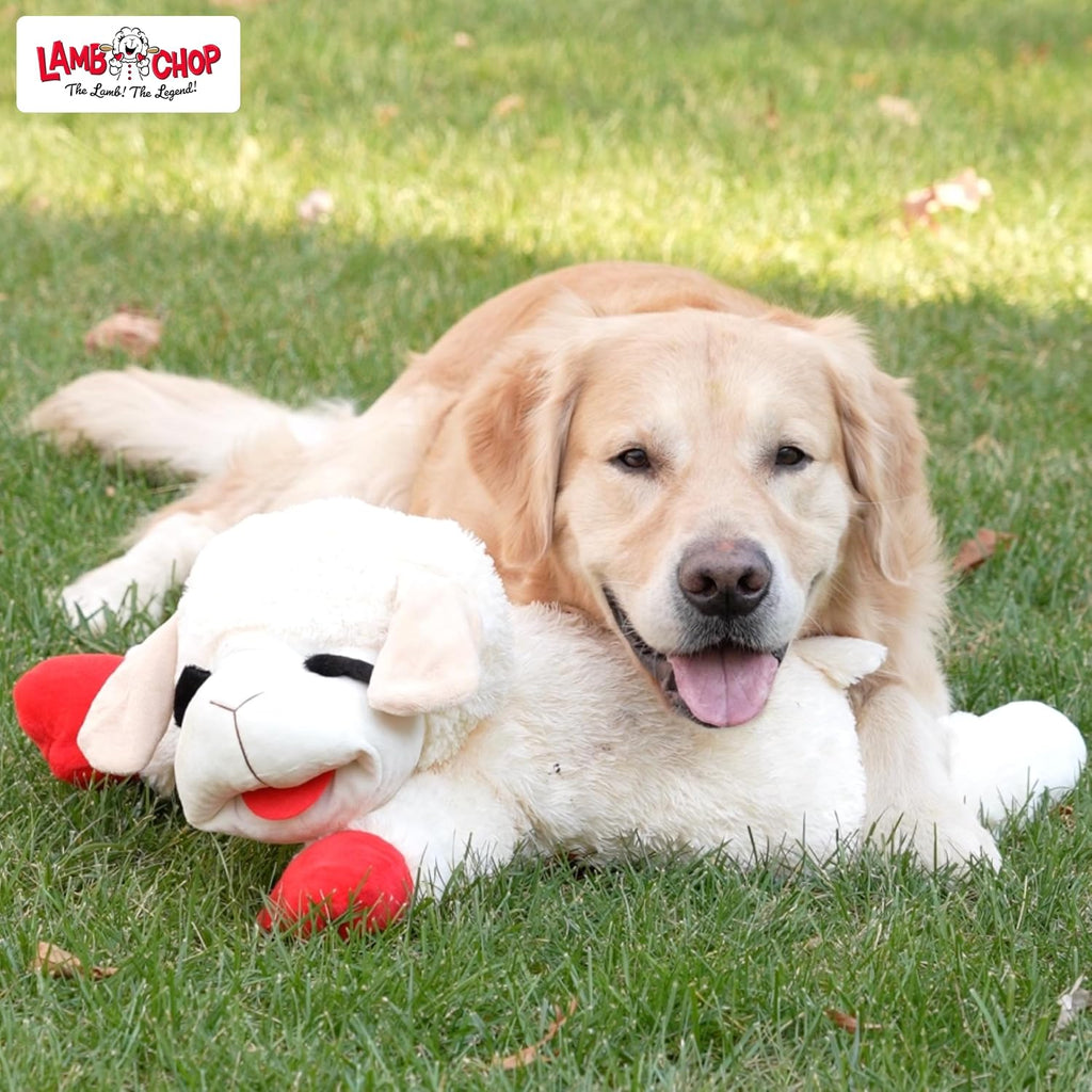 Multipet Lamb Chop Dog Plush Toy - Squeaky Toy for All Dogs - Extra Soft Plush - Stuffed Animal for Cuddling & Playing - Jumbo (24", Cream)