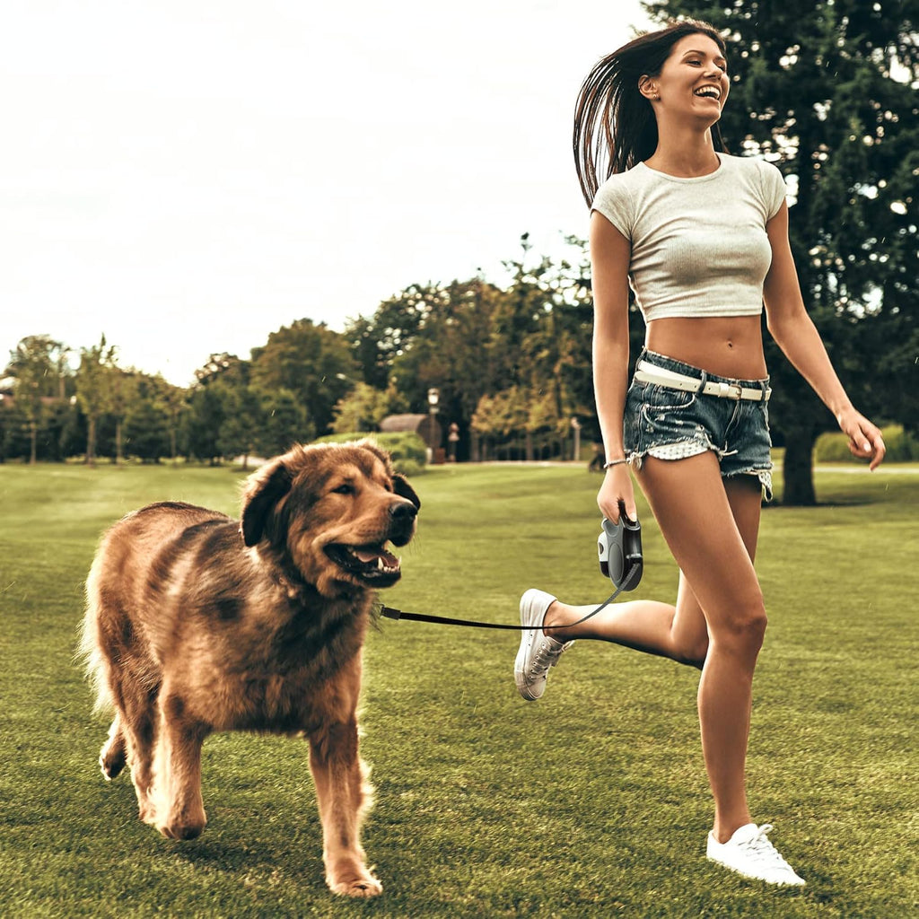 Fida Retractable Dog Leash with Dispenser and Poop Bags, 16ft, White & Pink
