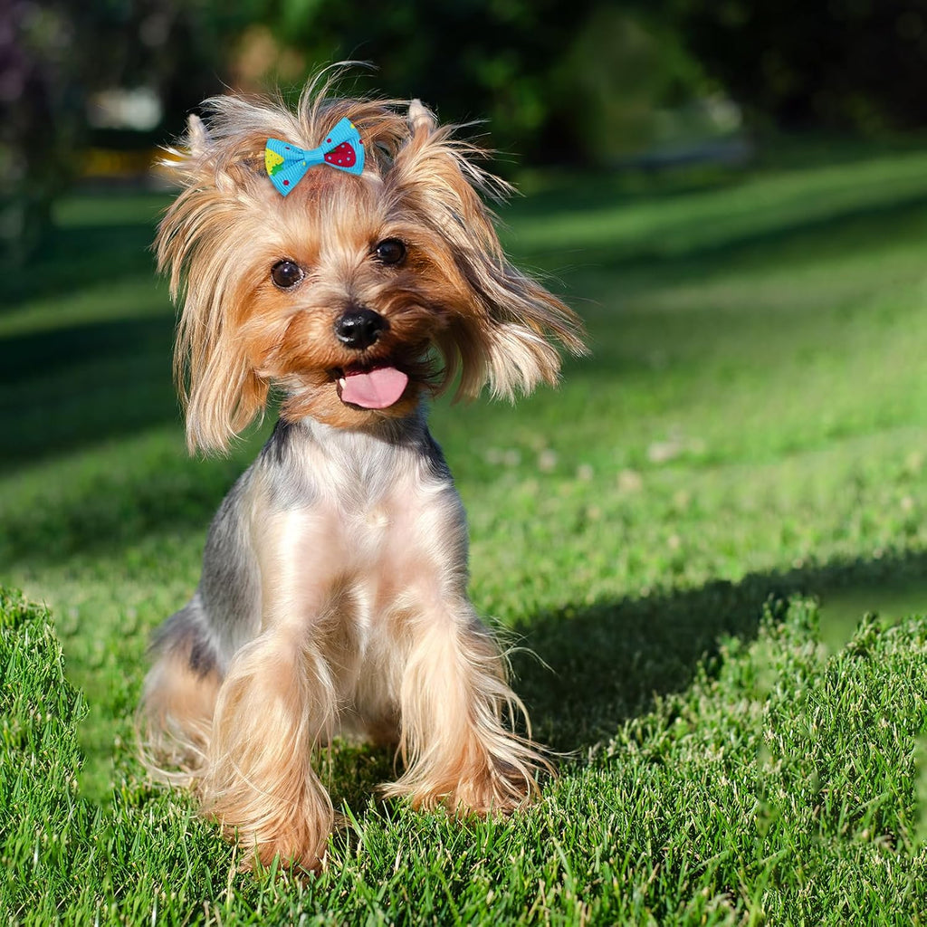 Small Dog Hair Bows with Rubber Bands for Small Medium Dogs