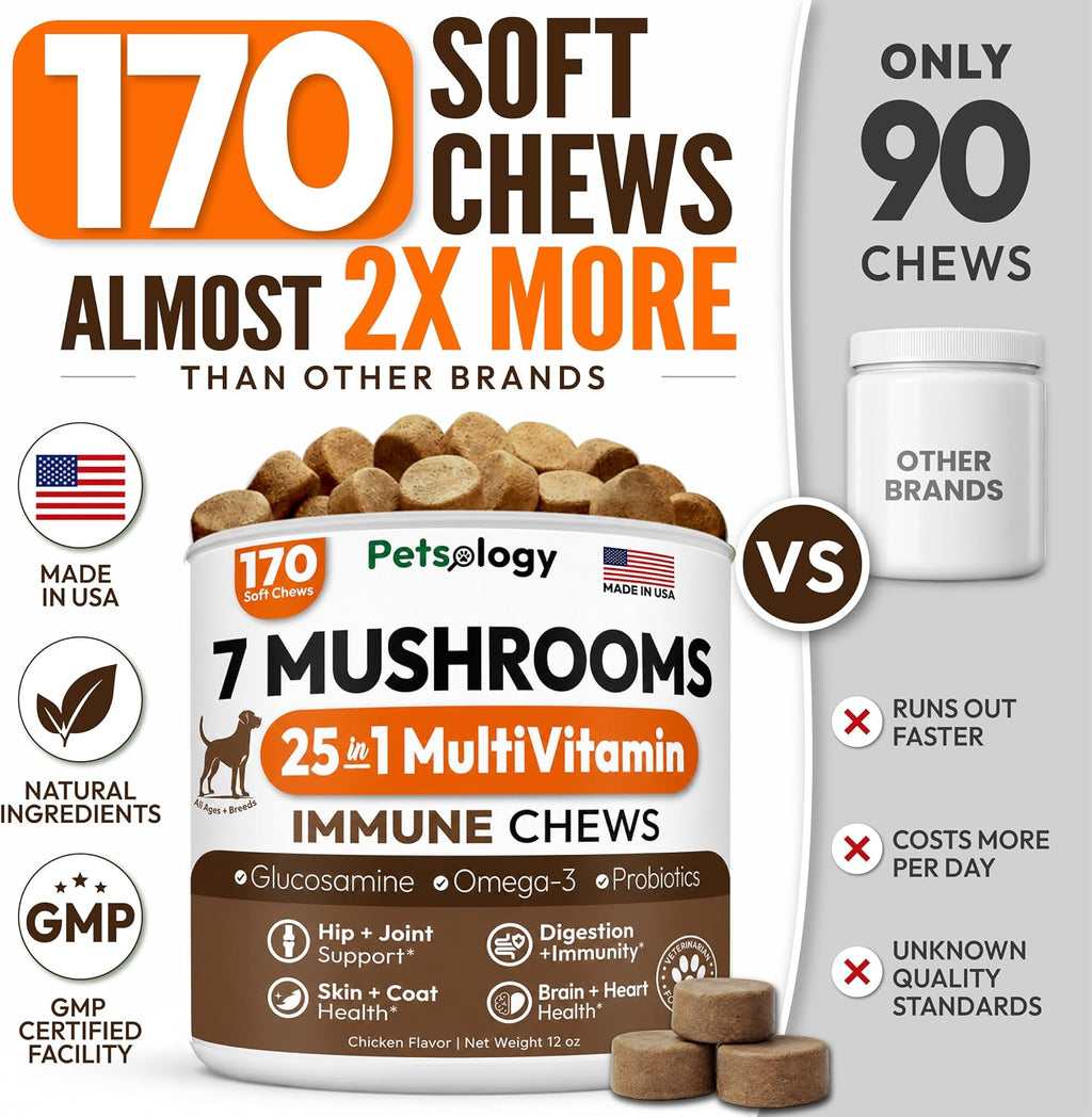 Turkey Tail Mushroom for Dogs - 170 Chews - Lion's Mane, Shiitake & Reishi