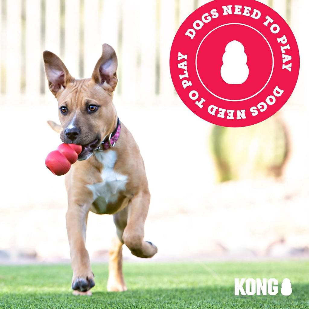 KONG Classic Stuffable Dog Toy, Natural Rubber Chew, for Large Dogs | Treat-Filling Fetch & Chew Toy with Erratic Bounce, Made from KONG Durable Natural Rubber for Extended Playtime