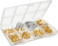 Amazon Basics Picture Hanging Hardware Assortment Kit, 220 Piece Set, Brass