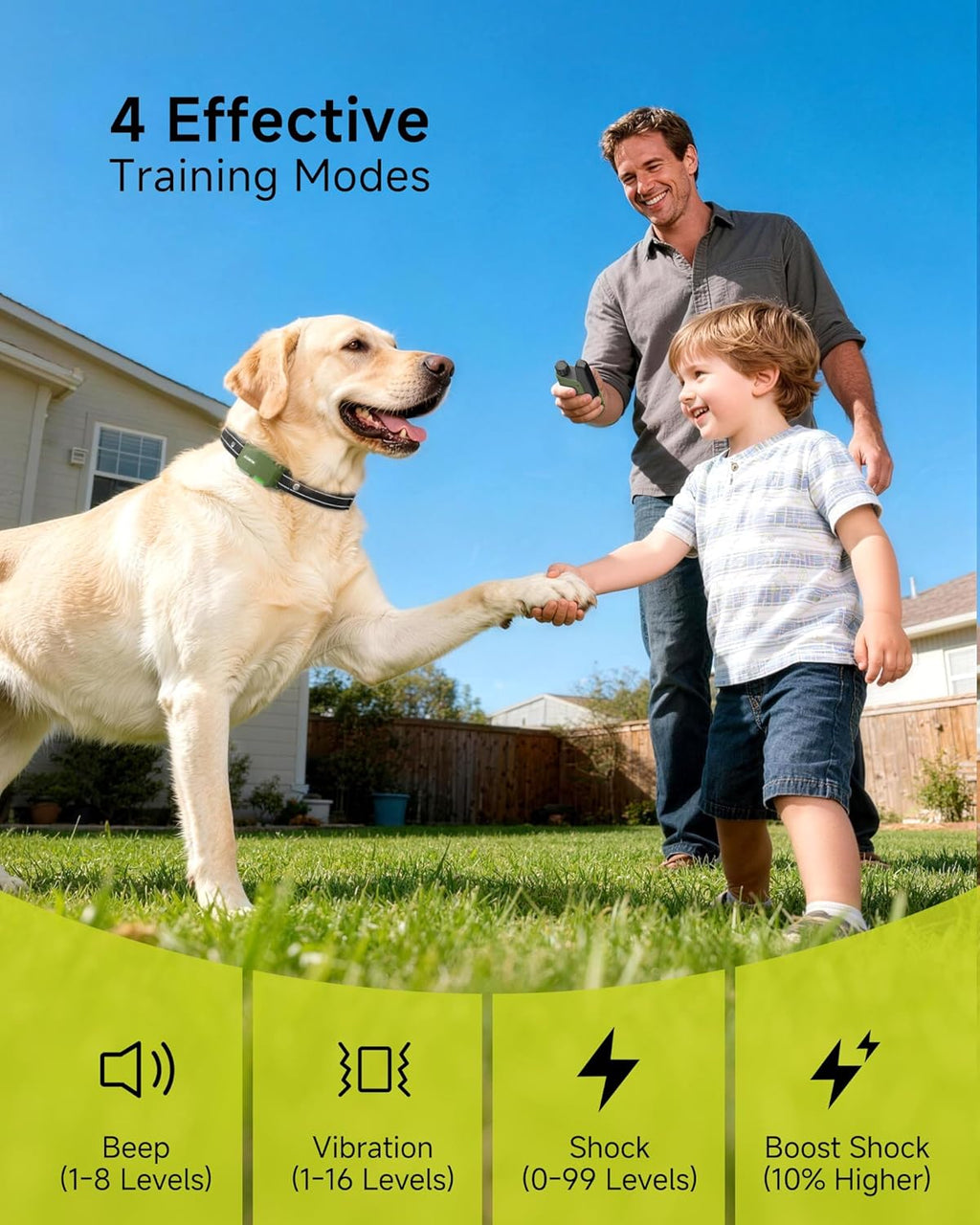 Shock Collar for 2 Dogs with Remote, 4200FT Range, Fits 10-120 lbs | IPX8 Waterproof Collar with 4 Training Modes, Rechargeable and Adjustable Collars for Small, Medium, and Large Dogs