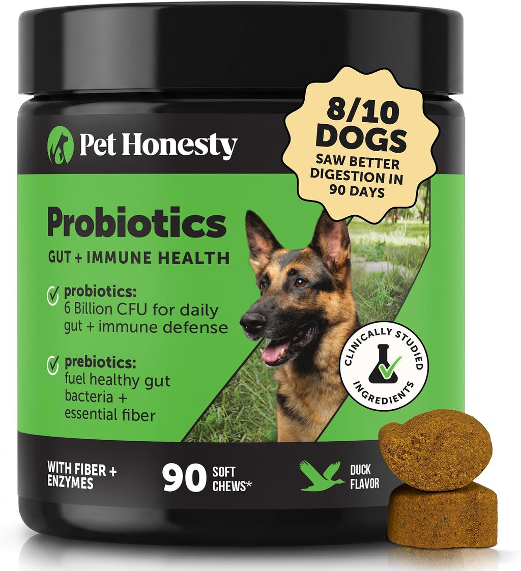 Pet Honesty Dog Probiotics Chews for Gut & Digestive Health, 90ct, Pumpkin | Vet recommended probiotics for dogs with digestive enzymes, prebiotics and fiber for regularity, gentle on sensitive stomachs