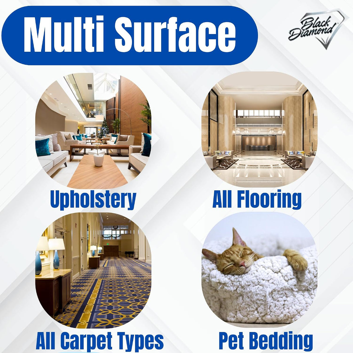 Commercial Enzyme Cleaner & Odor Eliminator for Carpet & Pet Urine