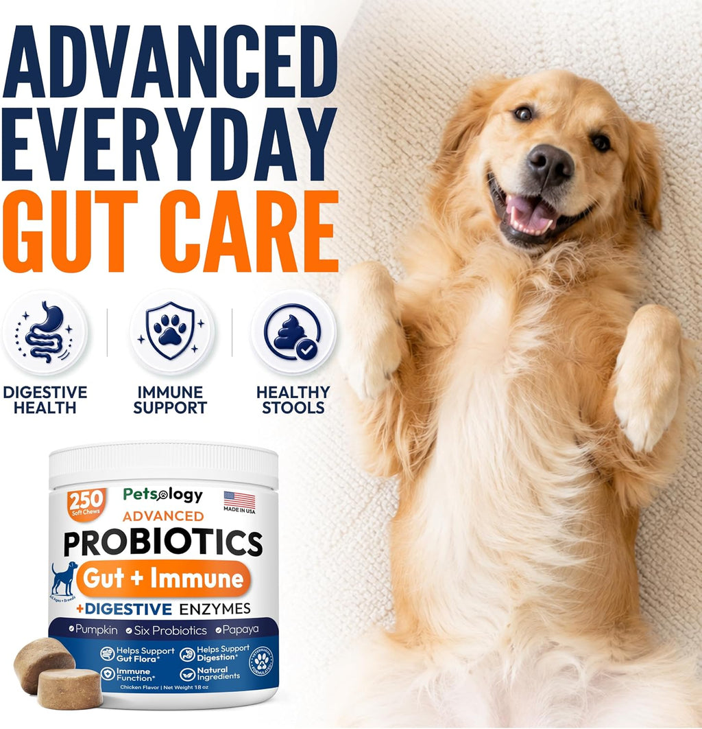 Probiotics for Dogs - 250 Dog Probiotics Chews - Digestive Enzymes Support | Gut Health Support, Diarrhea, Gas & Constipation Relief Supplement, Itchy Skin, Allergies & Yeast Balance, Made in USA