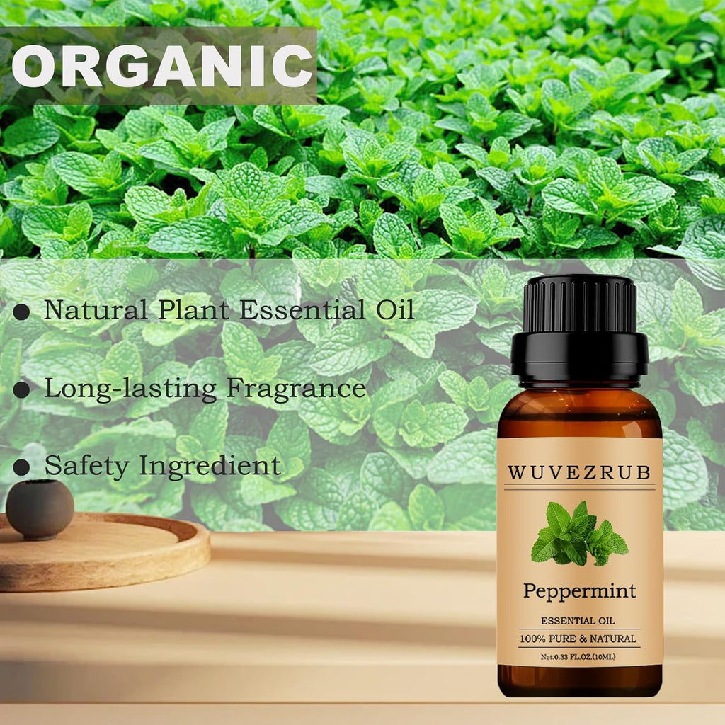 Pure Peppermint Essential Oil 10ml for Diffuser & Aromatherapy