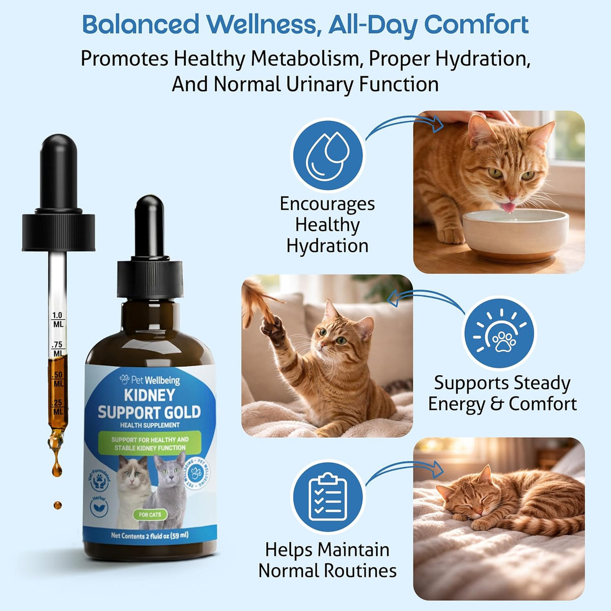 Pet Wellbeing Kidney Support Gold for Cats - Kidney Care & Hydration, 2 oz