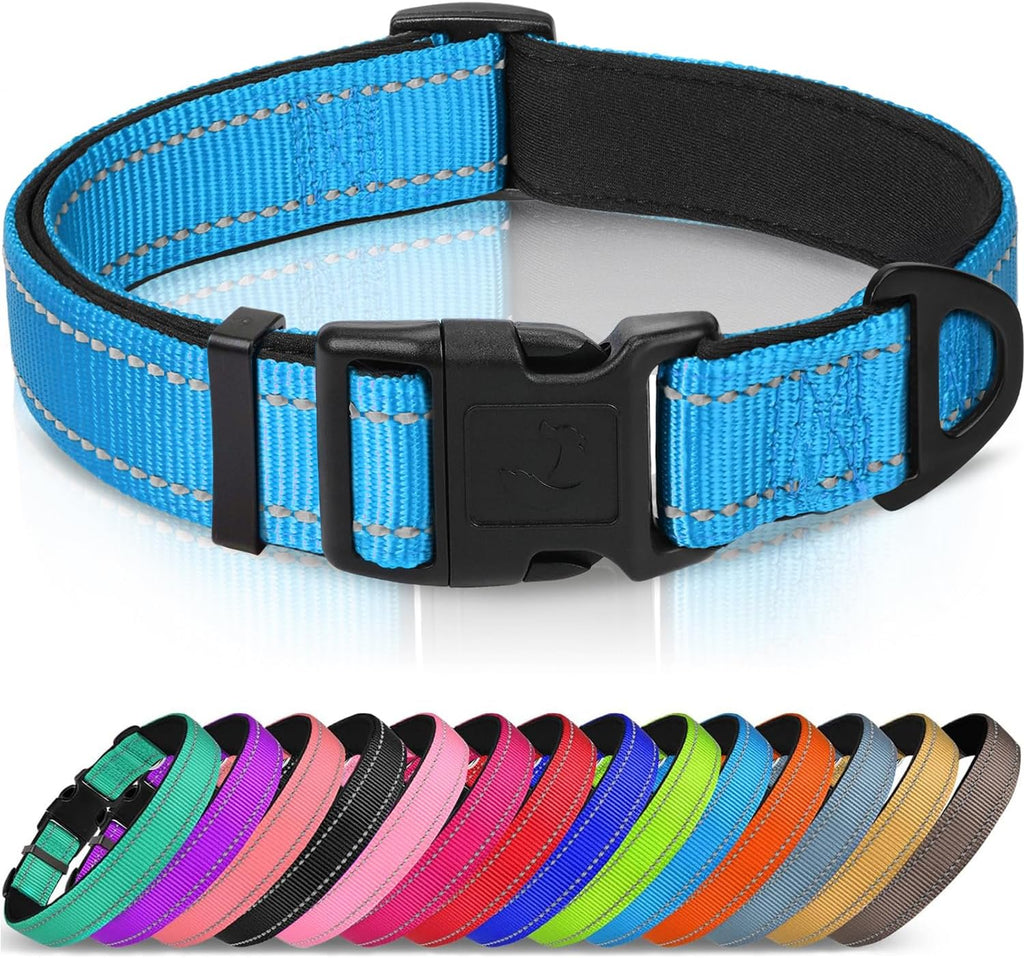 Joytale Reflective Dog Collar, Adjustable Neoprene Padded, Teal L