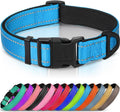 Joytale Reflective Dog Collar, Adjustable Neoprene Padded, Teal L