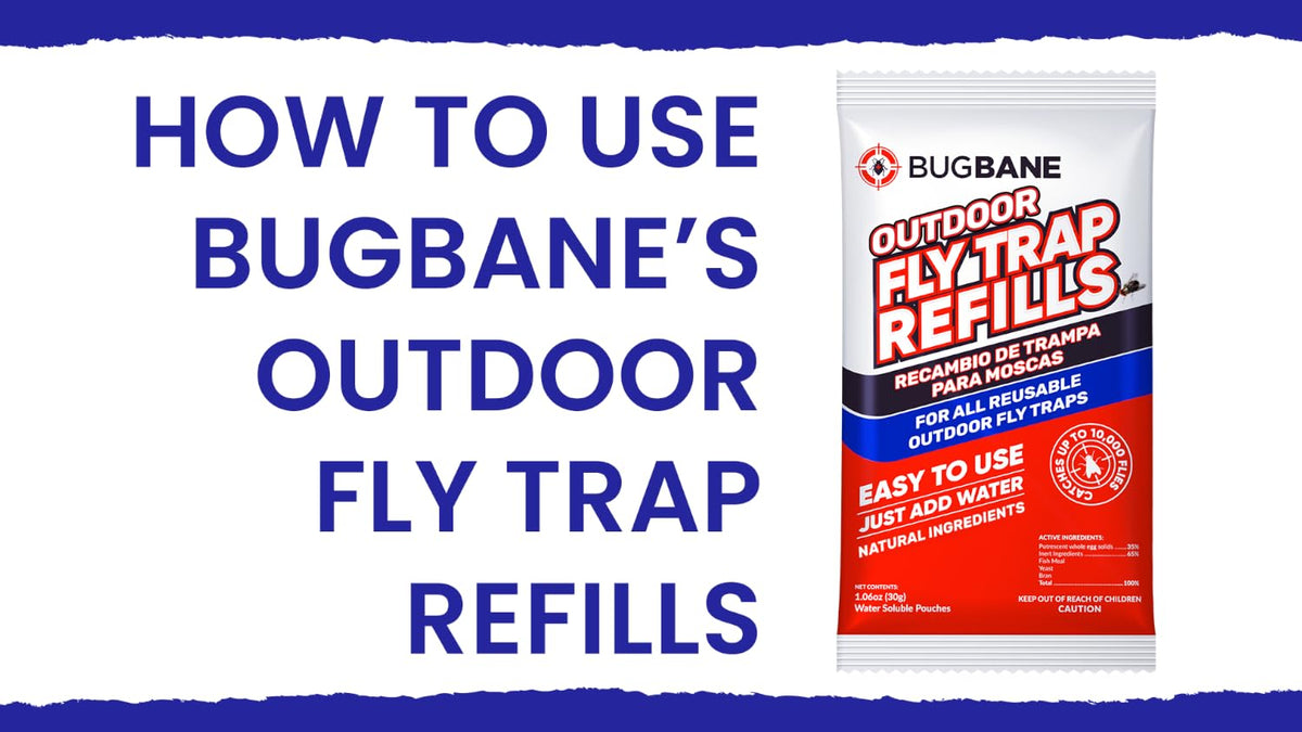 Fly Bait Fly Trap Refill Packets 6x1oz. Non Toxic Dissolvable Granules Work with All Reusable Flies Traps Outdoors Attractant. Flies Trap Bait Magnet Ranch Flytrap Outdoors. Cebo para Moscas